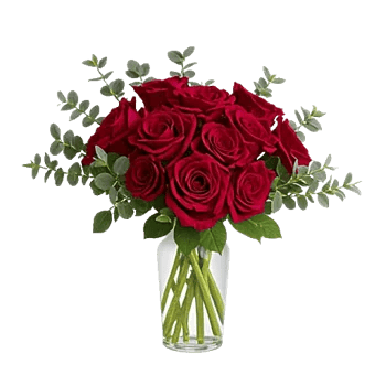 Crimson Blossom Harmony