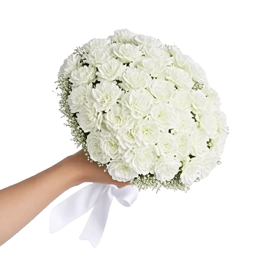 Delicate Petal Cascade