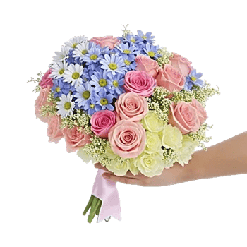 Blossom Petal Serenity