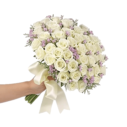 Delicate Petal Cascade