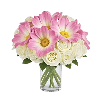 Orchid Bloom Cascade