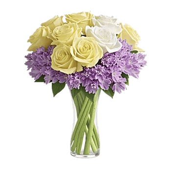 Ivory Blossom Radiance