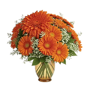 Radiant Bloom Cascade