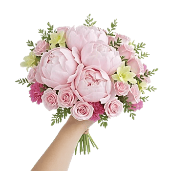 Peony Petal Harmony