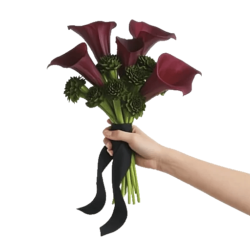 Elegant Calla Lilies