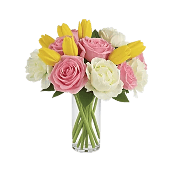 Petal Radiance Bliss