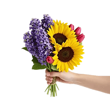 Blossom Harmony Display