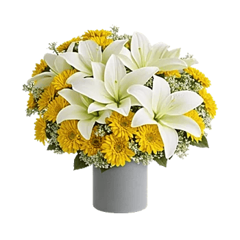 Graceful Lily Display