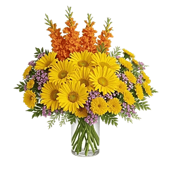 Radiant Bloom Cascade