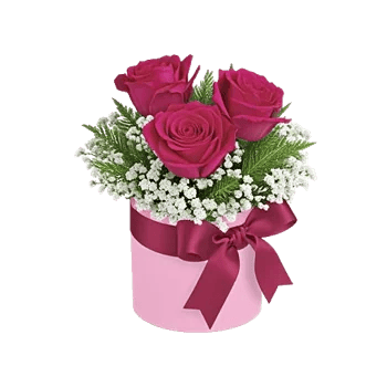 Blossom Radiant Whisper