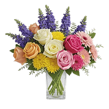 Petal Radiance Bliss