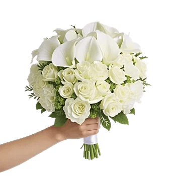 Elegant Calla Lilies