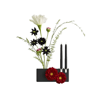 Ivory Blossom Radiance