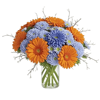Radiant Bloom Cascade