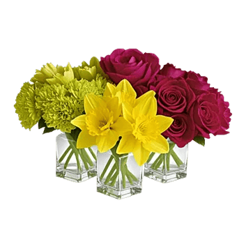 Petal Radiance Bliss