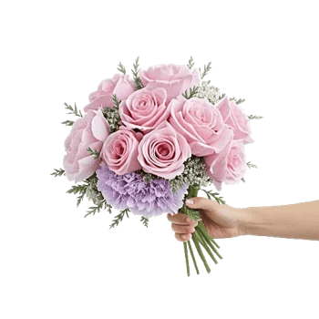Pastel Pink Roses