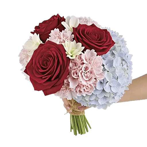 Crimson Rose Elegance