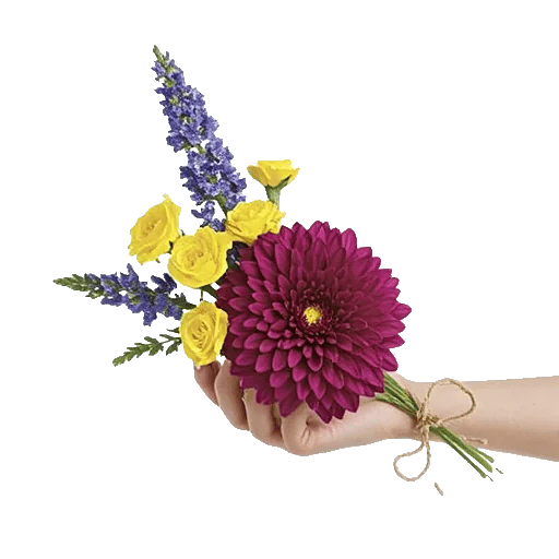 Radiant Bloom Cascade