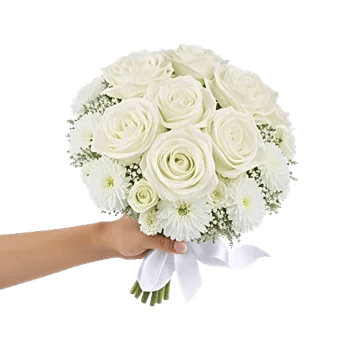 Ivory Garden Grace