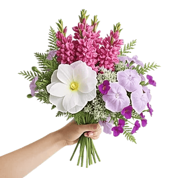Ivory Garden Grace