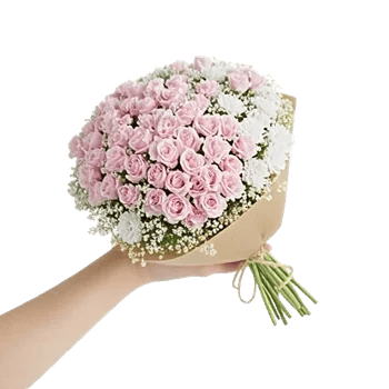 Blossom Radiant Whisper