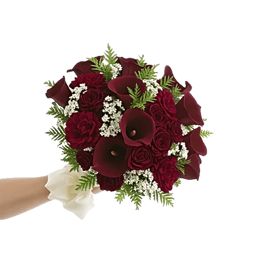 Elegant Calla Lilies