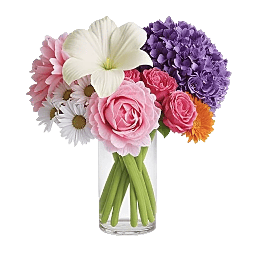 Ivory Blossom Radiance