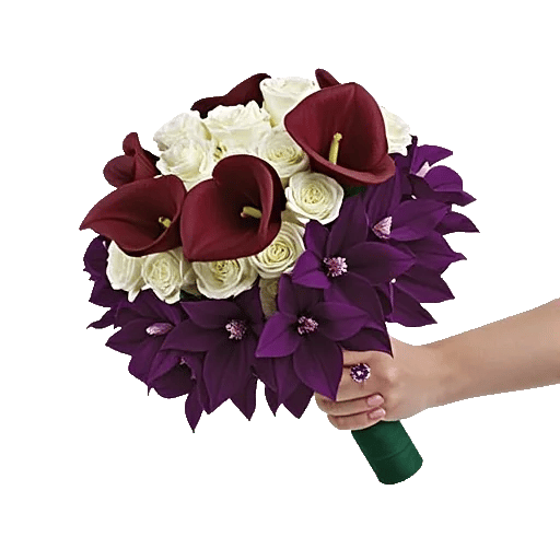 Elegant Calla Lilies