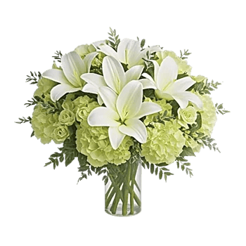 Graceful Lily Display