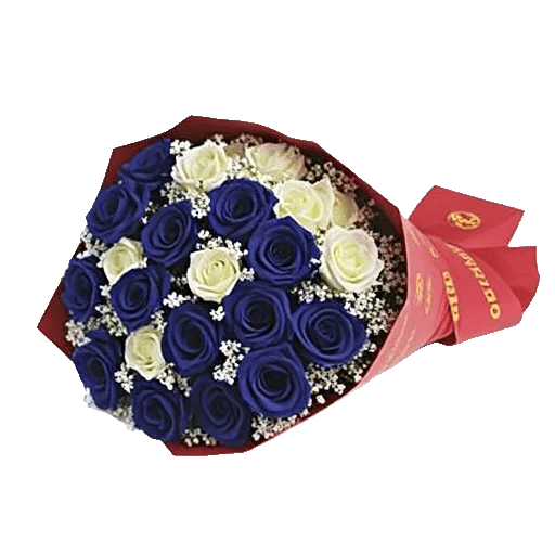 Elegant Blue Roses