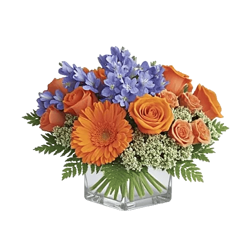 Petal Radiance Bliss