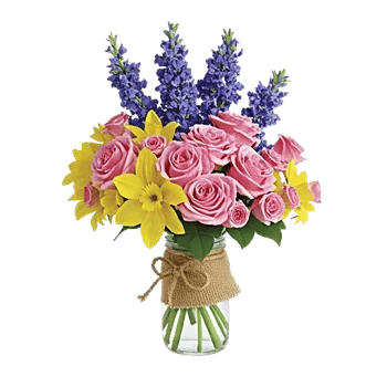 Petal Radiance Bliss