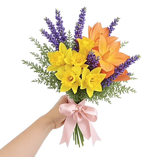 Soft Sunlight Blooms