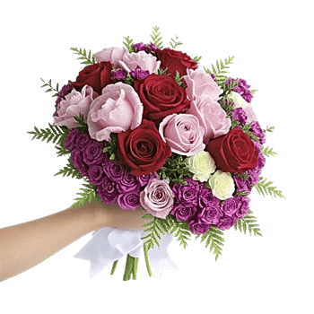 Crimson Rose Elegance
