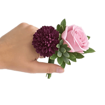 Plum Blossom Radiance