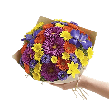 Vibrant Bloom Spectrum