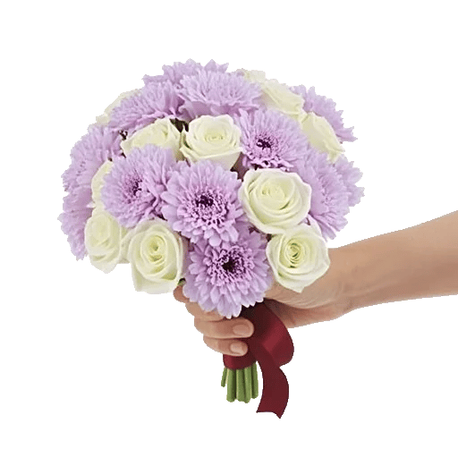 Blushing Rose Symphony