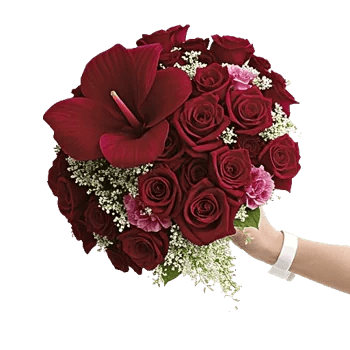 Elegant Calla Lilies