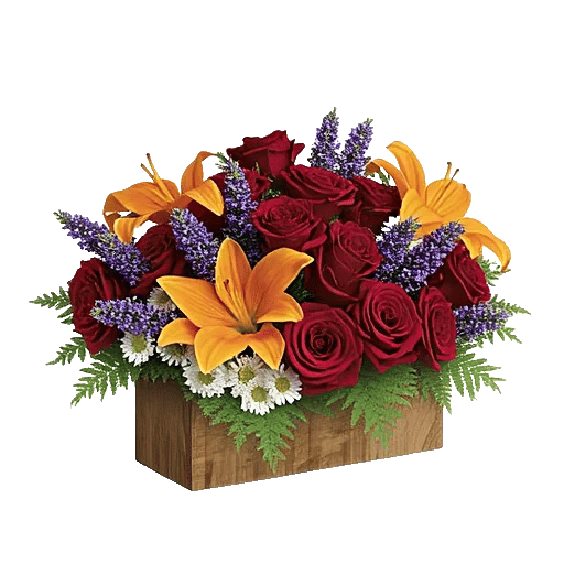 Radiant Rose Symphony