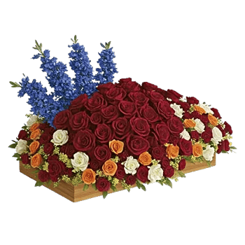 Delicate Petal Cascade