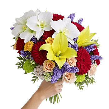 Modern White Orchids