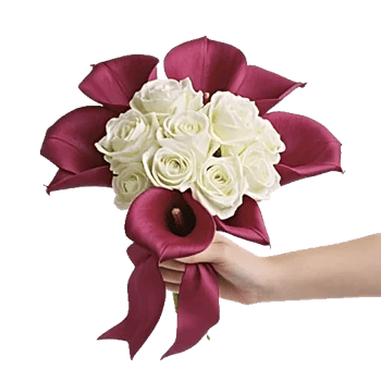 Elegant Calla Lilies