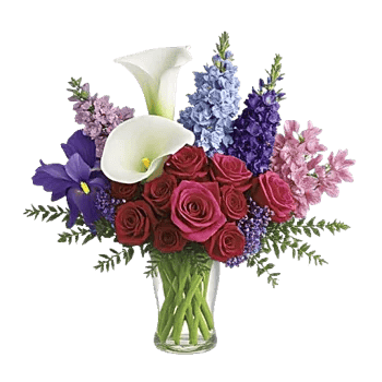 Elegant Calla Lilies