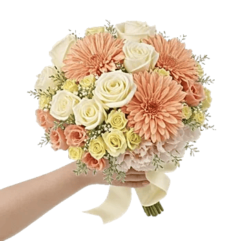 Blushing Rose Symphony