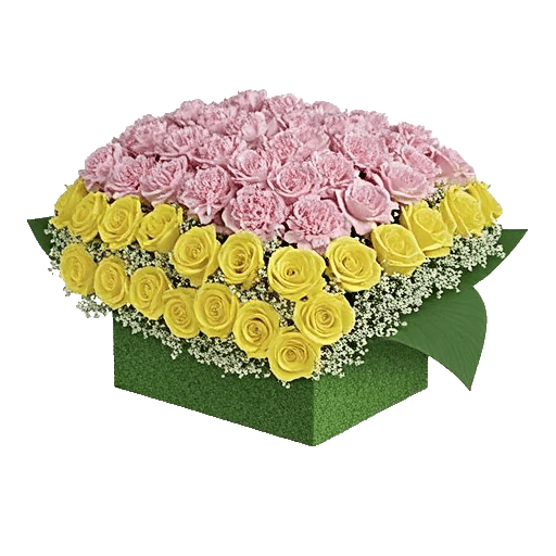 Blossom Grace Spread