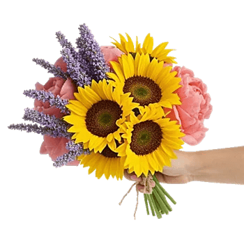 Twinkling Sunflower Dance