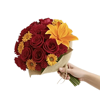 Crimson Rose Elegance