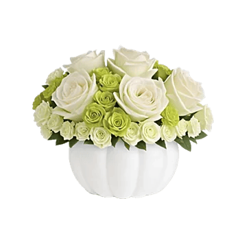 Modern White Orchids