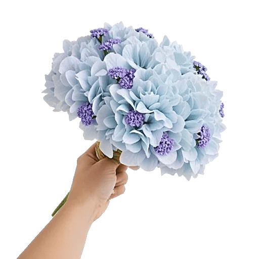 Serene Petal Harmony