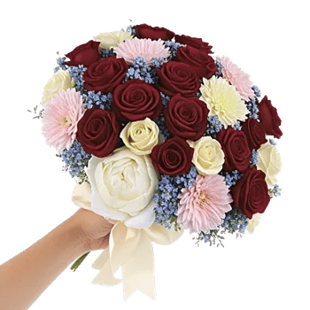 Blushing Rose Symphony